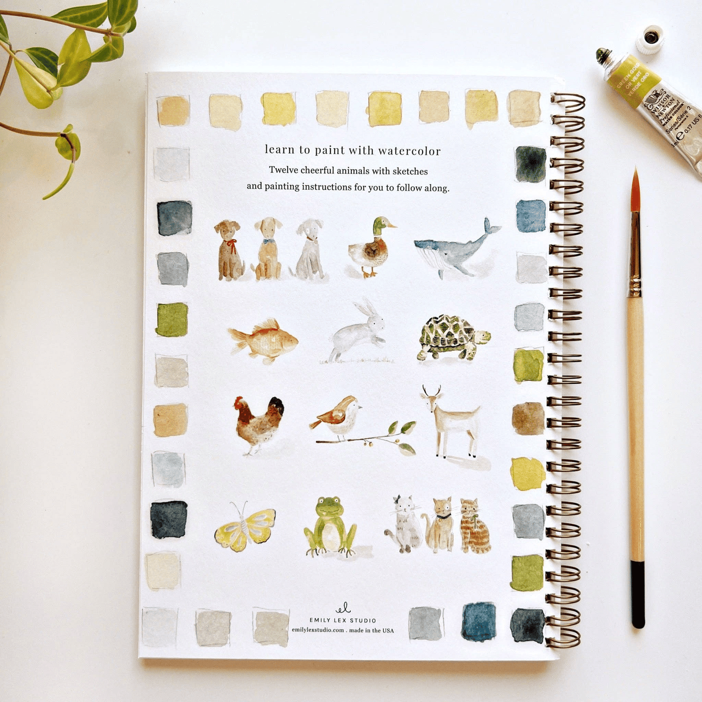 🔥SPRING MEGA SALE🖼️Beginner-Friendly💕 Watercolor Workbook