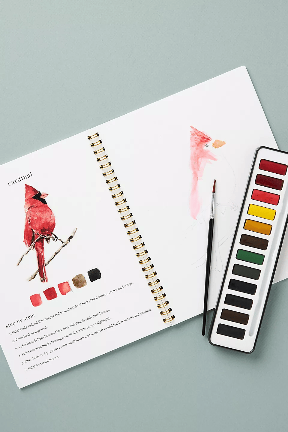 🔥SPRING MEGA SALE🖼️Beginner-Friendly💕 Watercolor Workbook