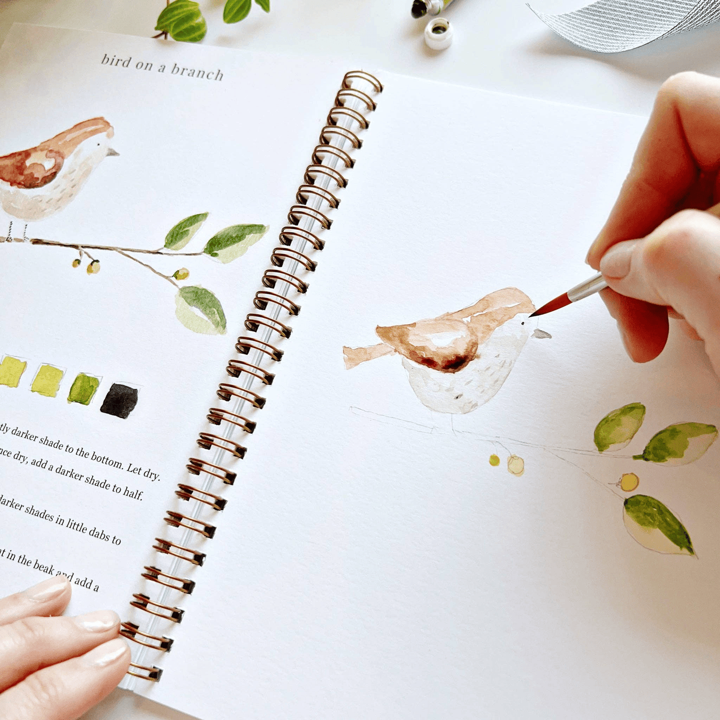 🔥SPRING MEGA SALE🖼️Beginner-Friendly💕 Watercolor Workbook