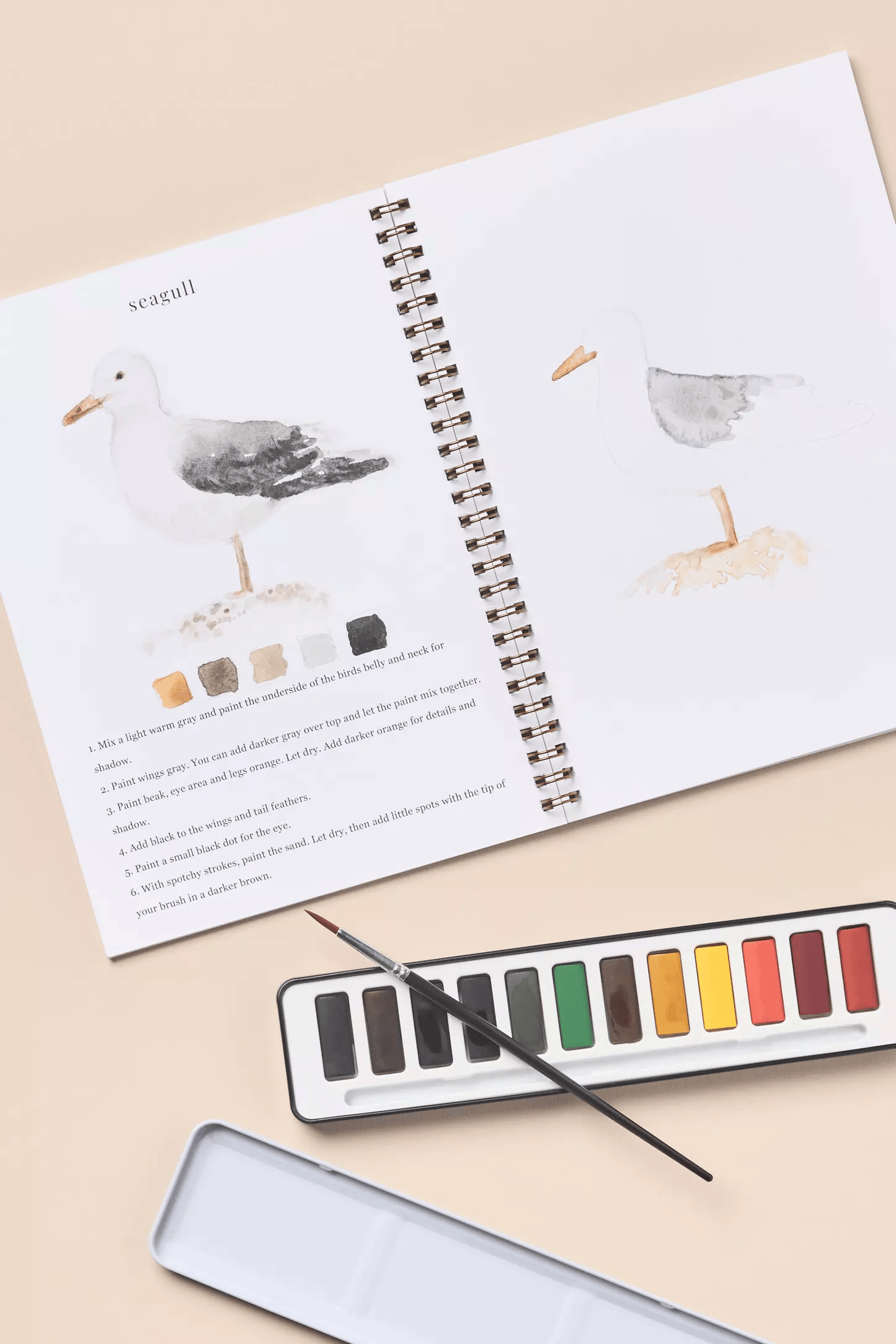 🔥SPRING MEGA SALE🖼️Beginner-Friendly💕 Watercolor Workbook