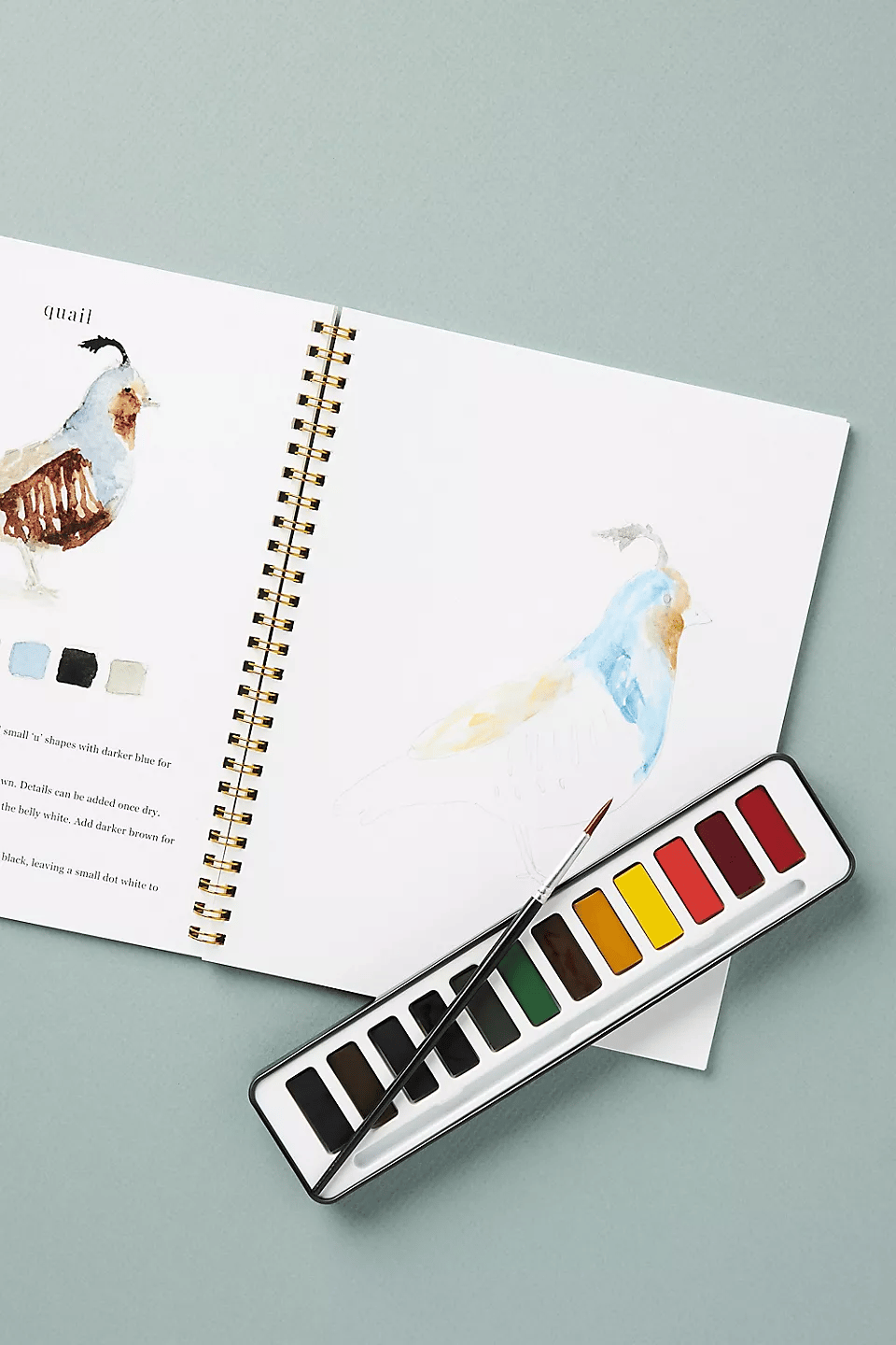 🔥SPRING MEGA SALE🖼️Beginner-Friendly💕 Watercolor Workbook